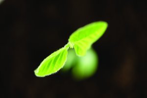 方案和传统方法对比评测